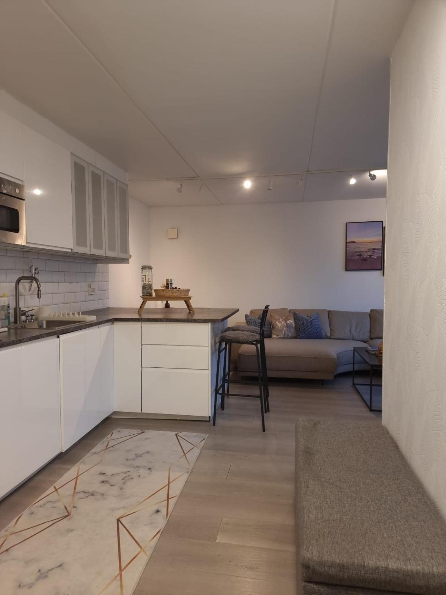 Penthouse Apartment *